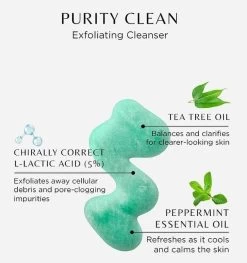 Purity Clean 17 Purity Clean -Care Product Shop CosmedixPurityCleanIngredients 853bf68a 7ad0 4daa 8ddd 3480e48f189b