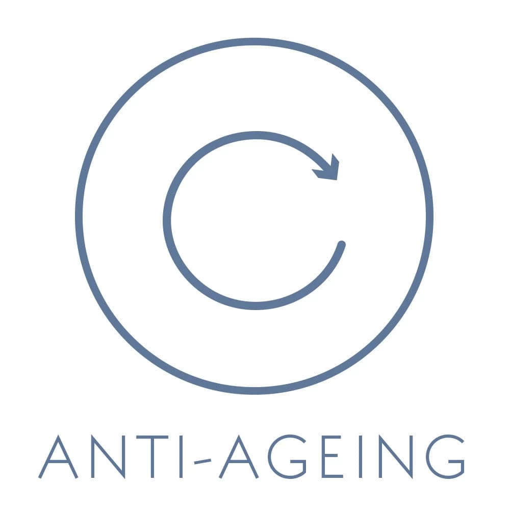 Dr Spiller Celltresor Intense Rebuilding Cream 5 Dr Spiller Celltresor Intense Rebuilding Cream - Image 3