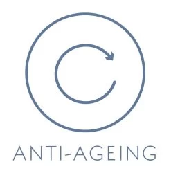 Dr Spiller Vitamin A Cream - Light 11 Dr Spiller Vitamin A Cream - Light -Care Product Shop anti ageing dr spiller f55fd067 4408 4d4f 9121 c5282fd197be