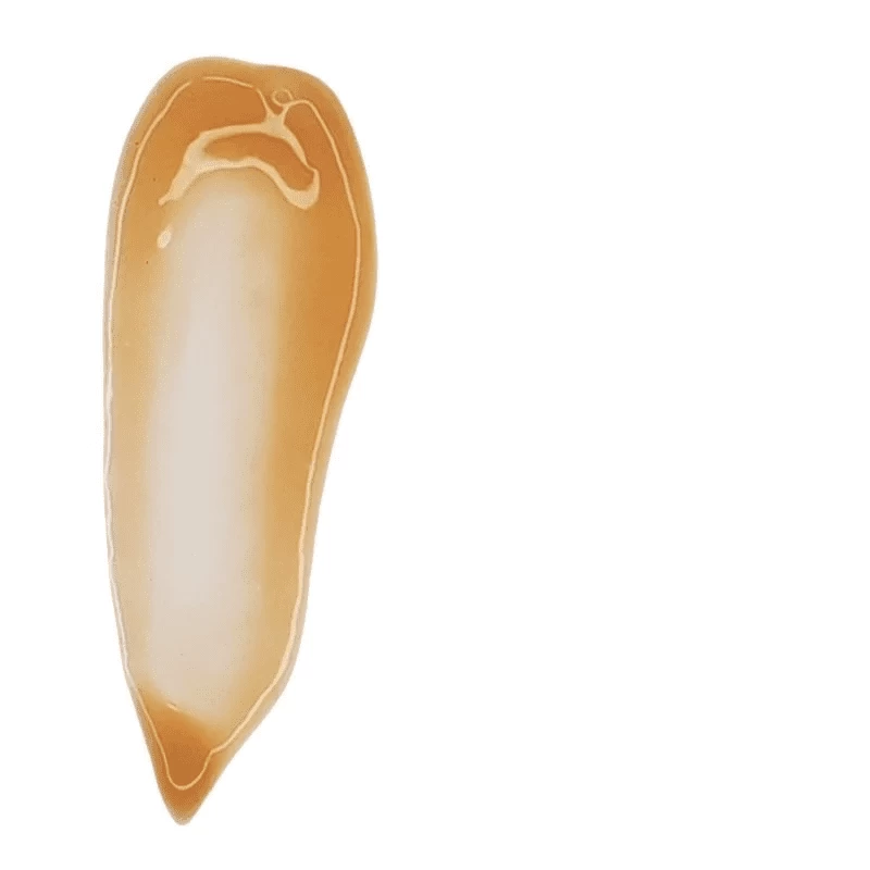 Aspect Pigment Punch+ 4 Aspect Pigment Punch+ - Image 2