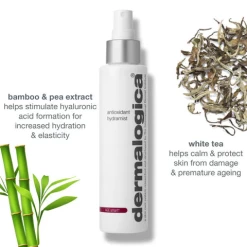 Dermalogica Antioxidant Hydramist -Care Product Shop dermalogica antioxidant mist