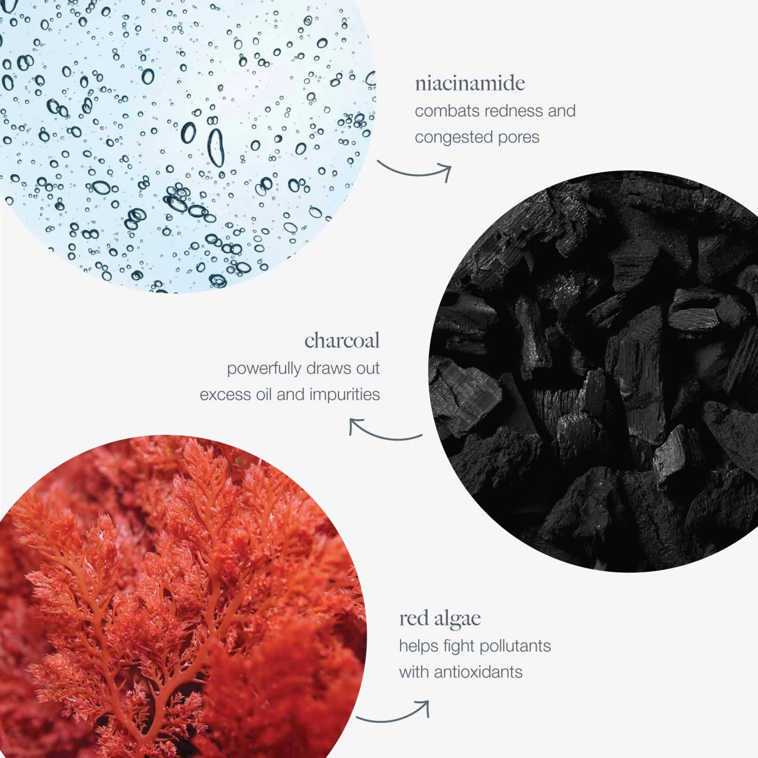 Dermalogica Daily Superfoliant 4 Dermalogica Daily Superfoliant - Image 2